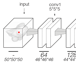 deep-learning-lung-cancer-prognostication-retrospective-multi-cohort-radiomics-study